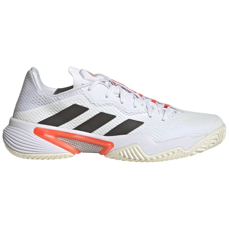 sapatilhas adidas e nike