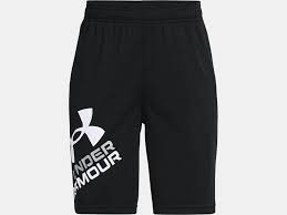 Under Armour Prototype 2.0 Logo Shorts- L